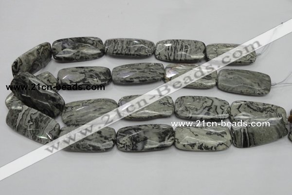 CPT132 15.5 inches 20*40mm faceted rectangle grey picture jasper beads