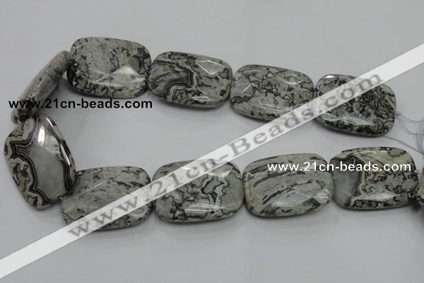 CPT133 15.5 inches 30*40mm faceted rectangle grey picture jasper beads