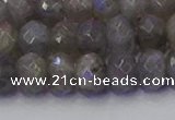 CRB1854 15.5 inches 6*10mm faceted rondelle labradorite beads