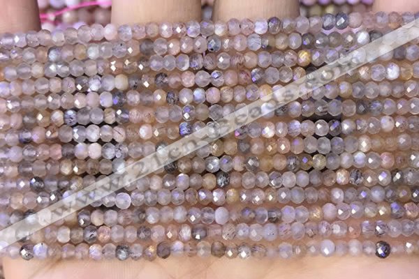 CRB2219 15.5 inches 2*3mm faceted rondelle moonstone beads