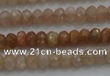 CRB224 15.5 inches 2.5*4mm faceted rondelle moonstone beads