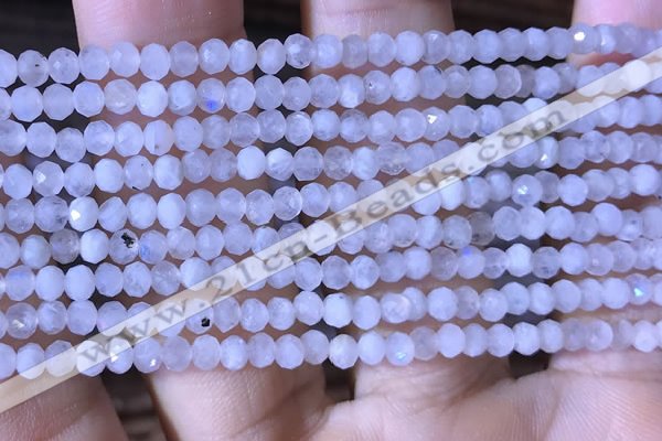 CRB2623 15.5 inches 2*3mm faceted rondelle white moonstone beads