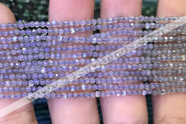 CRB2660 15.5 inches 1.5*2mm faceted rondelle labradorite beads