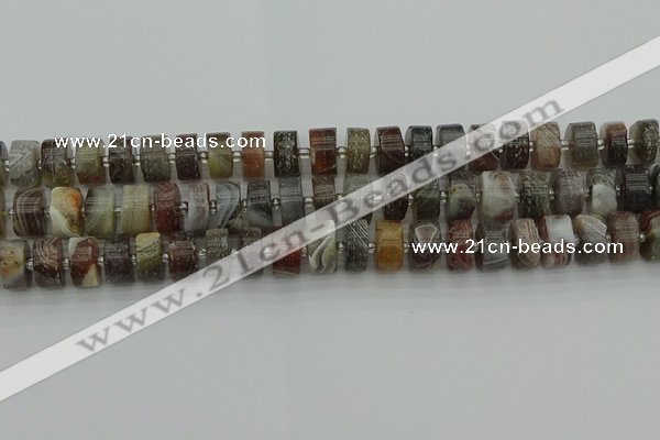 CRB489 15.5 inches 6*12mm tyre matte botswana agate beads wholesale