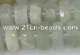 CRB811 15.5 inches 6*12mm faceted rondelle grey moonstone beads