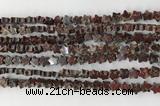 CRG30 15.5 inches 6mm flat star poppy jasper beads wholesale