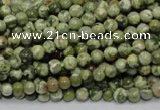 CRH110 15.5 inches 4mm round rhyolite gemstone beads wholesale