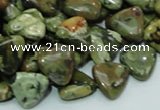 CRH31 15.5 inches 12*12mm triangle rhyolite beads wholesale