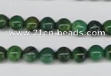 CRJ302 15.5 inches 8mm round African prase jasper beads wholesale