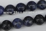 CRO344 15.5 inches 12mm round sodalite gemstone beads wholesale