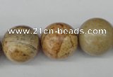 CRO485 15.5 inches 18mm round picture jasper beads wholesale