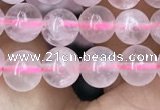 CRQ416 15.5 inches 6mm round rose quartz beads wholesale