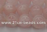 CRQ672 15.5 inches 10mm round rose quartz beads wholesale