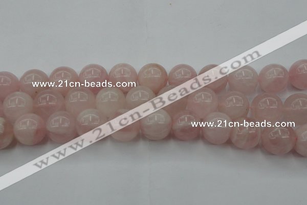 CRQ675 15.5 inches 16mm round rose quartz beads wholesale