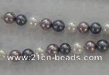 CSB1010 15.5 inches 6mm round mixed color shell pearl beads