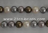 CSB1031 15.5 inches 8mm round mixed color shell pearl beads