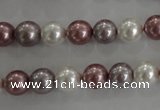 CSB1036 15.5 inches 8mm round mixed color shell pearl beads