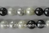 CSB1051 15.5 inches 10mm round mixed color shell pearl beads