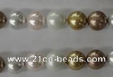 CSB1064 15.5 inches 10mm round mixed color shell pearl beads