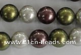 CSB1081 15.5 inches 12mm round mixed color shell pearl beads