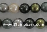 CSB1086 15.5 inches 12mm round mixed color shell pearl beads