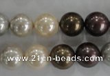 CSB1088 15.5 inches 12mm round mixed color shell pearl beads