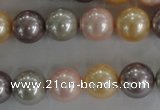 CSB1093 15.5 inches 12mm round mixed color shell pearl beads