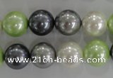 CSB1105 15.5 inches 12mm round mixed color shell pearl beads