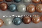 CSB1112 15.5 inches 12mm round mixed color shell pearl beads