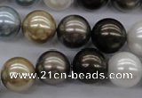 CSB1121 15.5 inches 14mm round mixed color shell pearl beads