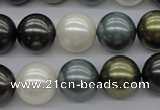 CSB1125 15.5 inches 14mm round mixed color shell pearl beads