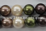 CSB1129 15.5 inches 14mm round mixed color shell pearl beads