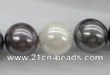 CSB1150 15.5 inches 16mm round mixed color shell pearl beads