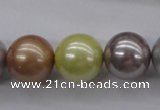 CSB1155 15.5 inches 16mm round mixed color shell pearl beads