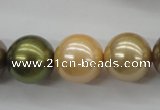 CSB1156 15.5 inches 16mm round mixed color shell pearl beads