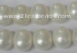 CSB136 15.5 inches 12*15mm – 13*16mm oval shell pearl beads