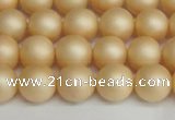 CSB1378 15.5 inches 10mm matte round shell pearl beads wholesale