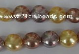 CSB186 15.5 inches 12mm flat round mixed color shell pearl beads