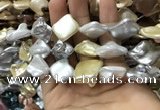 CSB2168 15.5 inches 16*16mm - 18*20mm baroque mixed shell pearl beads