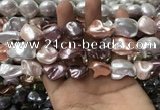 CSB2176 15.5 inches 16*16mm - 20*22mm baroque mixed shell pearl beads