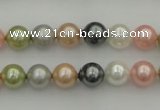 CSB310 15.5 inches 8mm round mixed color shell pearl beads