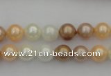 CSB311 15.5 inches 8mm round mixed color shell pearl beads