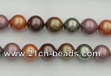 CSB312 15.5 inches 8mm round mixed color shell pearl beads