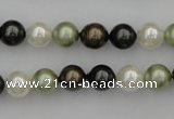 CSB314 15.5 inches 8mm round mixed color shell pearl beads