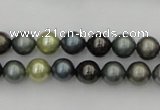 CSB316 15.5 inches 8mm round mixed color shell pearl beads