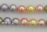 CSB330 15.5 inches 10mm round mixed color shell pearl beads