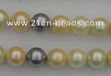 CSB333 15.5 inches 10mm round mixed color shell pearl beads