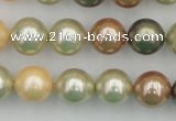 CSB359 15.5 inches 12mm round mixed color shell pearl beads