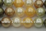 CSB360 15.5 inches 12mm round mixed color shell pearl beads