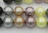 CSB364 15.5 inches 12mm round mixed color shell pearl beads